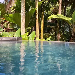 https://a-peace-in-paradise.maheislandhotels.com